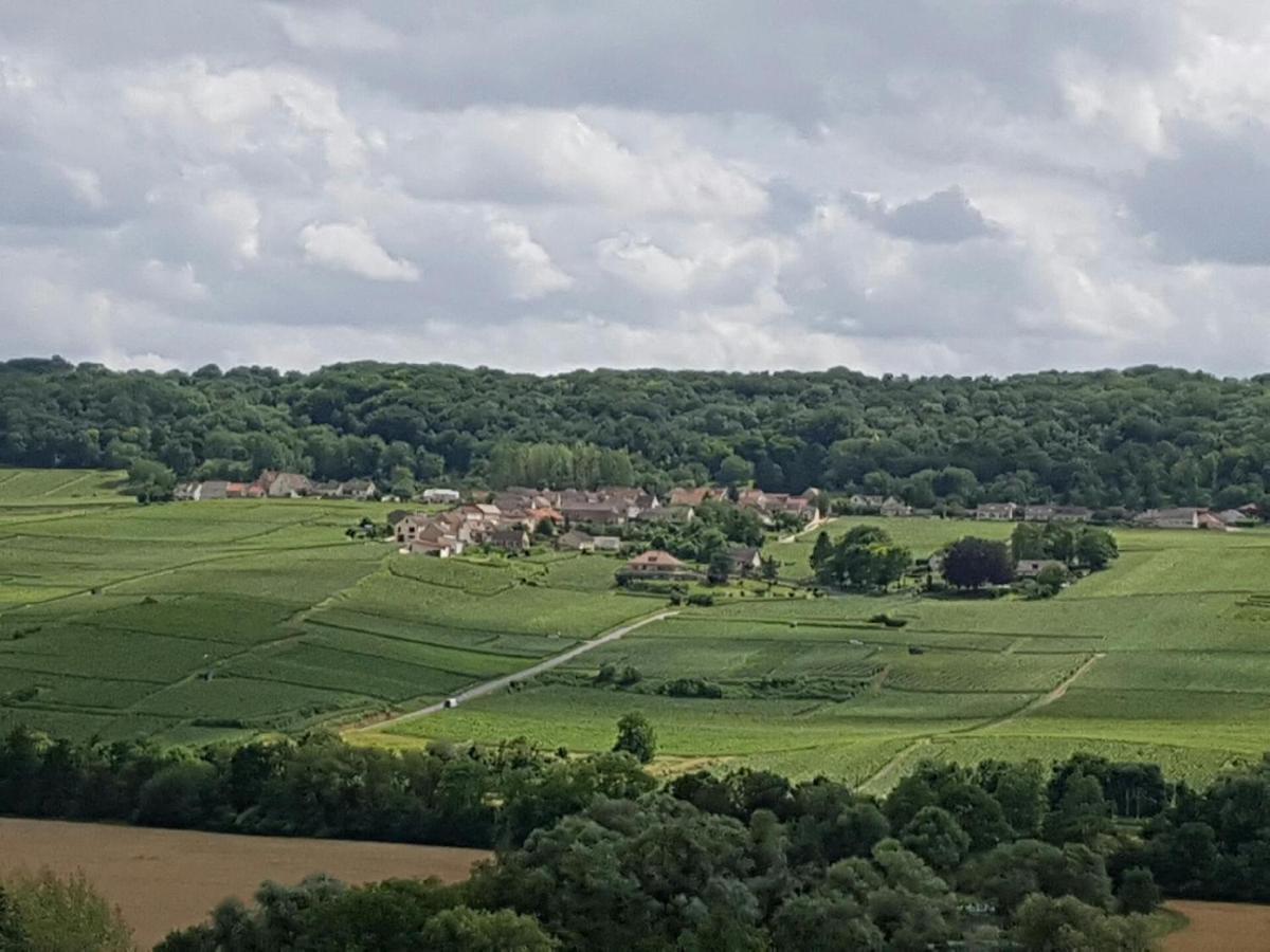Le Domaine De L Etang Le Merger Oeuilly المظهر الخارجي الصورة
